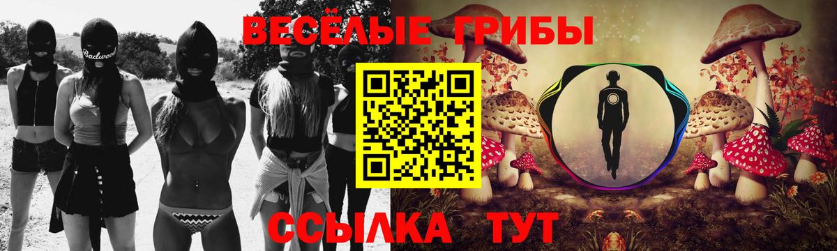 Псилоцибиновые грибы Magic Shrooms Ковров