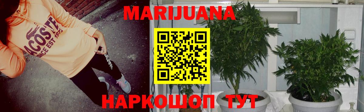 Шишки марихуана индика  Шишки марихуана LSD WEED  Конопля THC 21%  Марихуана Amnesia  Ковров  Вход с VPN 